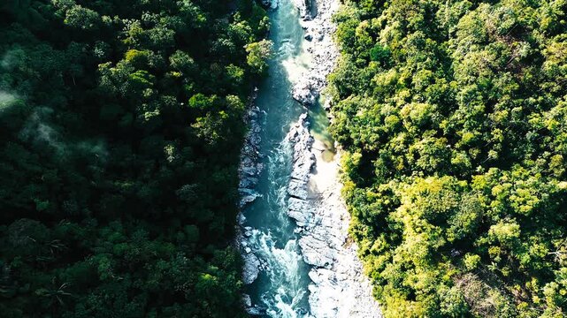 Top Down Drone View of Clear River Cutting Through Dense Ecuador Rainforest, Whitewater Channel, Green Canopy and Remote Tropical Wilderness