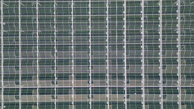 Aerial Top-Down View of a Large Modern Greenhouse with Rows of Crops, Slow Pan Shot