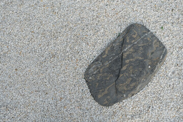 Large dark stepping stone surrounded by white pebbles as a decoration in the garden © Dontree