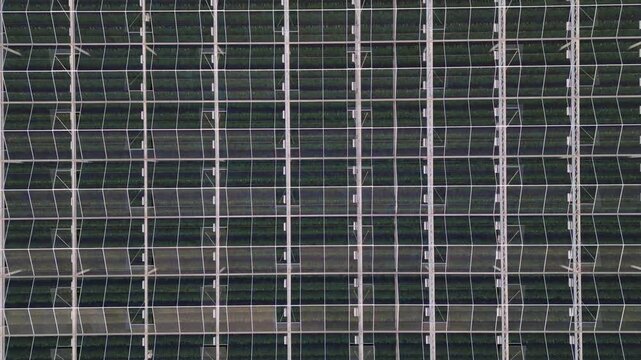 Top-Down Aerial View of a Large Industrial Greenhouse with Green Plants Growing in Rows