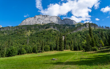 A white limestone mountain peak towering over a green forest and a clearing. © gubernat
