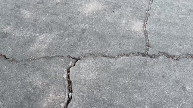 Fractured concrete surface texture with dark linear cracks under flat light