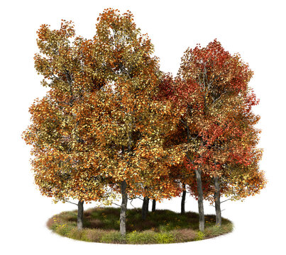 Autumn woods seasonal terrain cutout on transparent backgrounds 3d rendering png