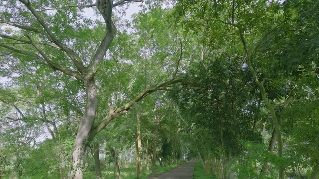 Motion view shot of Indian agricultural village. Shoot by DJI Pocket 4p combo creator camera.