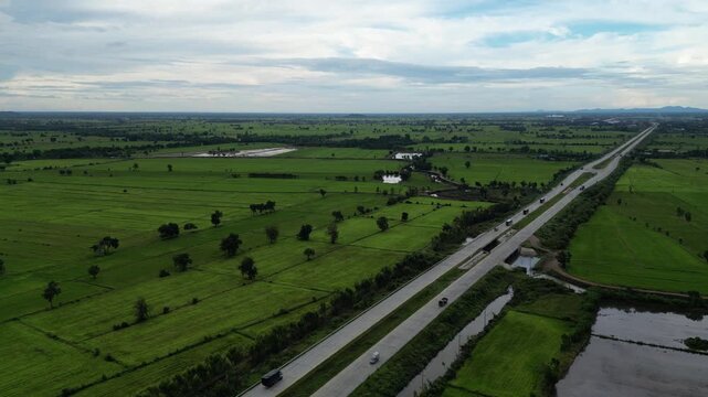 상공에서 내려다본 태국 중부 지방의 푸른 논과 넓은 평원 aerial view
