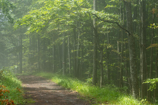 Fog at the Alpine pastures: a trail with artistic installations in the Modena Apennines