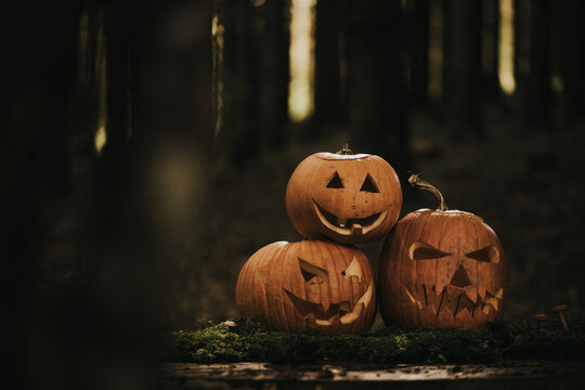 Spooky and scary Halloween themed image in a dark forest with Jack-o-lanterns.