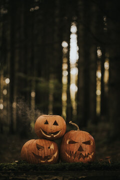 Spooky and scary Halloween themed image in a dark forest with Jack-o-lanterns.