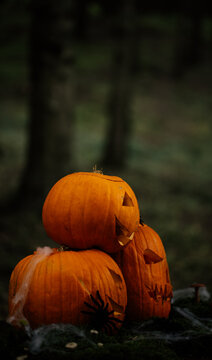 Spooky and scary Halloween themed image in a dark forest with Jack-o-lanterns.