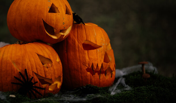 Spooky and scary Halloween themed image in a dark forest with Jack-o-lanterns.