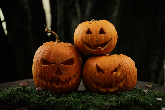 Spooky and scary Halloween themed image in a dark forest with Jack-o-lanterns.