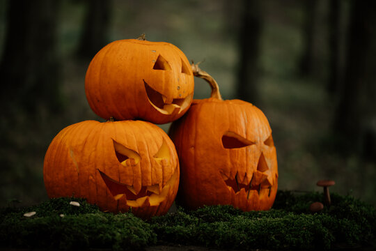 Spooky and scary Halloween themed image in a dark forest with Jack-o-lanterns.