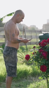 Shirtless tattooed man smoking and taking a picture of beautiful red roses with his cellphone in a community garden during a sunny day. Vertical
