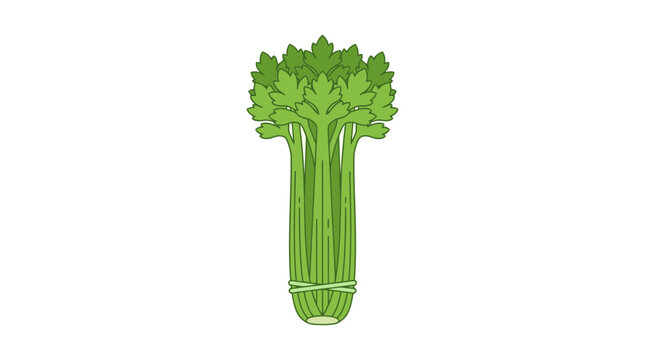 Fresh Green Celery Stalks Isolated Vector Illustration