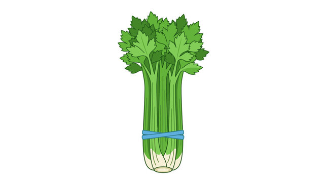 Fresh Green Celery Stalks Bunch Vector Illustration Isolated
