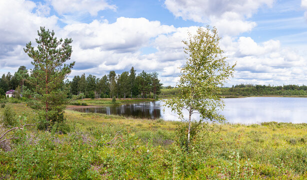 Wasserlandschaft umgeben von Wald.