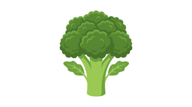 Fresh Green Broccoli Vegetable Flat Vector Illustration