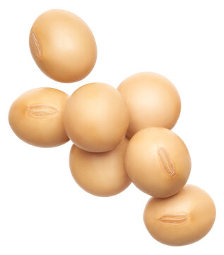 Group of soybeans isolated