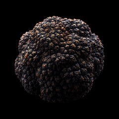 Fresh black truffles isolated on black background with clipping path, great for culinary and gourmet themes © boule1301