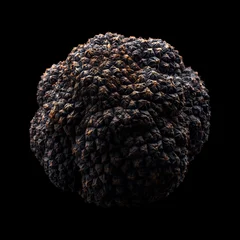 Fresh black truffles isolated on black background with clipping path, great for culinary and gourmet themes © boule1301