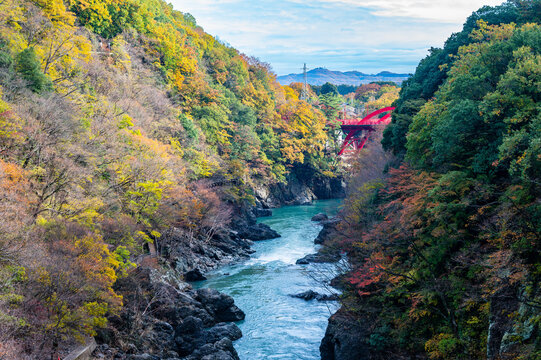 紅葉が広がる険しい渓谷の間を流れる川と遠くに見える赤い橋