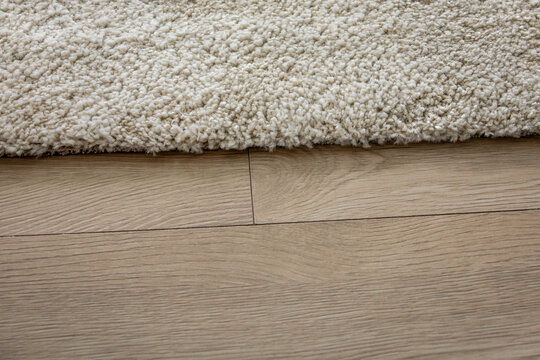 Plush Cream Rug Edge Meets Natural Wood Plank Flooring