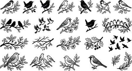 Fototapeta premium Vintage black and white linocut vector icon collection featuring garden songbirds perched on botanical tree branches and flying in groupsVintage 