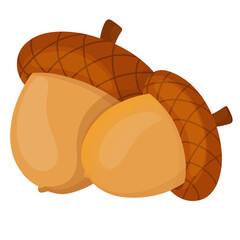 Two Brown Acorns with Textured Caps © Oksana