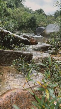 Natural Stream Flowing Over Rocks in Lush Tropical Forest, Bang Hua Rat Waterfall, Thailand