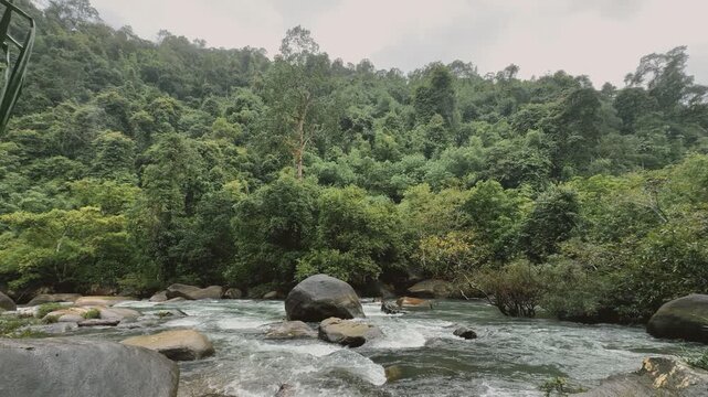 Lush Green Forest and Flowing River with Large Rocks in Khao Sok National Park, Thailand