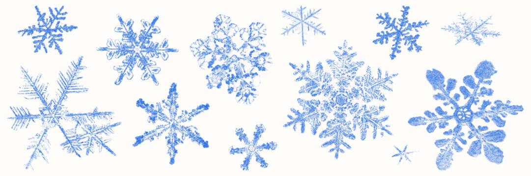 Blue cyanotype snowflake asset pack. Stipple dot overlay texture flake of snow silhouette. Delicate indigo blue shape for template and graphic design project.
