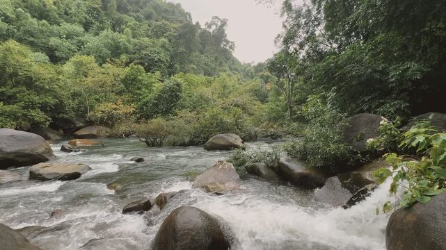 Rushing river with large boulders and lush green forest in Khao Sok National Park, Thailand.