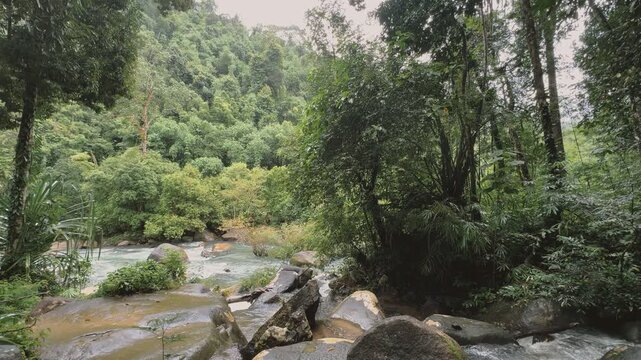Lush tropical rainforest with a flowing river and large rocks, Khao Sok National Park.