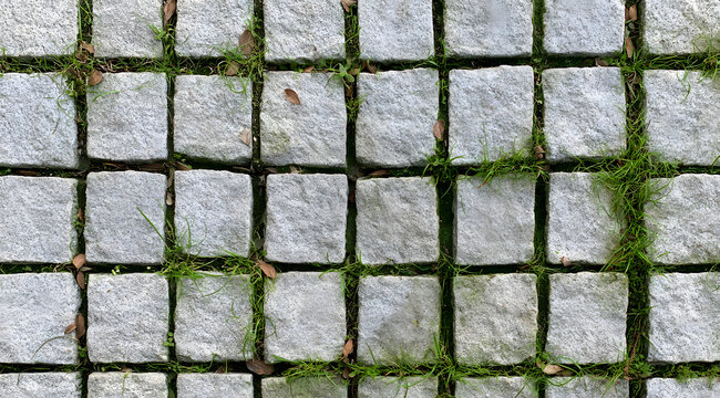 A top-down view of light gray stone tiles displays a square pattern that covers the ground, featuring small brown leaves and green grass peeking through the cracks. The natural, urban texture illustra