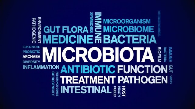 Microbiota animated word cloud-text design animation tag kinetic typography seamless loop.