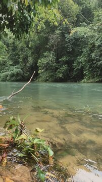 Clear turquoise river flowing through lush tropical rainforest in Khao Sok National Park, Thailand