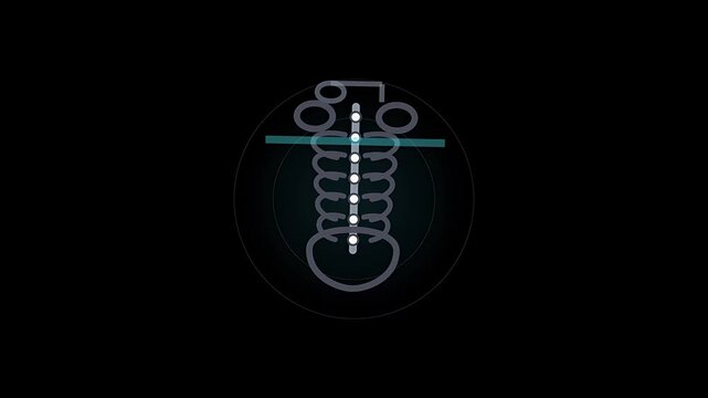 Anatomical skeleton torso diagram with spine ribcage and pelvis sweeping scan line medical background footage