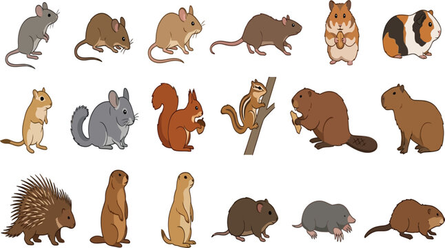 Collection of diverse small rodents and burrowing mammals in various playful poses against a white background vector illustration