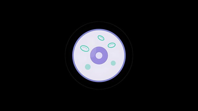 Animated microscopic view of a generic biological cell nucleus mitochondria and vesicles floating within the membrane boundary science medicine stock video