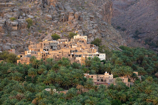 Inhabited hillside village of Misfat al Abriyyin with satellite dishes on mudbrick rooftops rising above a dense date palm oasis, Ad Dakhiliyah Region, Misfat al Abriyyin, Oman
