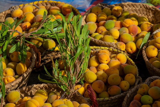 Baskets filled with freshly picked apricots displayed with green leafy branches at a market stall, Ad Dakhiliyah Region, Nizwa, Oman