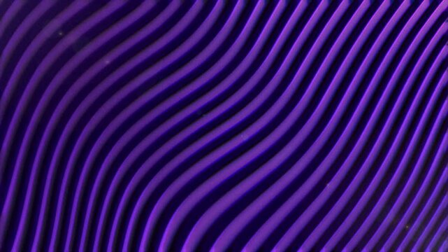Abstract Purple Wave Line Background 4K