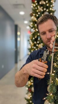 Technician expertly secures glowing festive illumination upon an evergreen structure bringing warmth and seasonal joy to the professional workplace