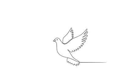 Fototapeta premium Single Line Drawing of a Dove Bird Flying on Transparent Background