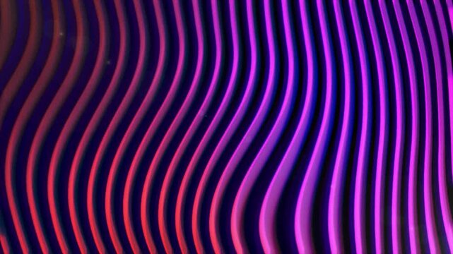 Abstract Magenta Wave Line Background 4K