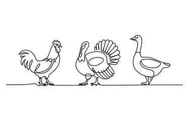 Fototapeta premium Continuous single line drawing of a rooster turkey and goose standing together as farm birds in a simple black and white minimalist artistic style