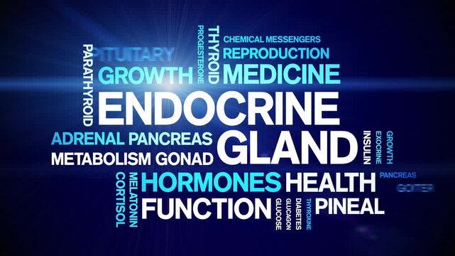 Endocrine Gland animated word cloud-animation tag kinetic typography seamless loop.