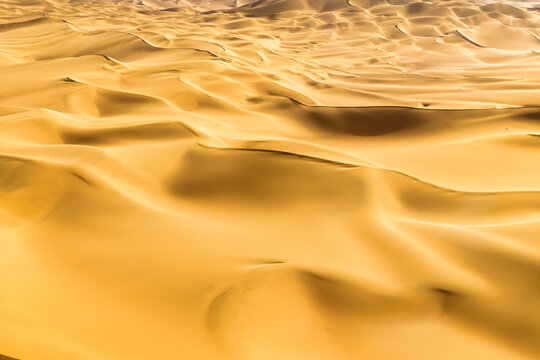 Golden sand dunes stretching across a vast desert landscape under bright sunlight, creating soft shadows.