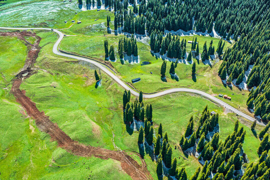 Aerial view of a winding paved road curving through vibrant green mountain pastures and dense pine forests under bright natural sunlight in Xinjiang.