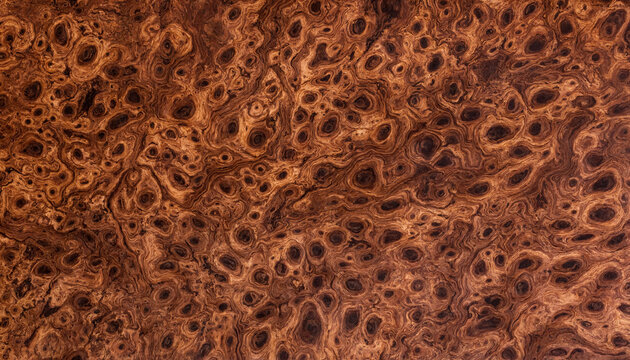Natural polished walnut burl wood texture with intricate swirling grain patterns